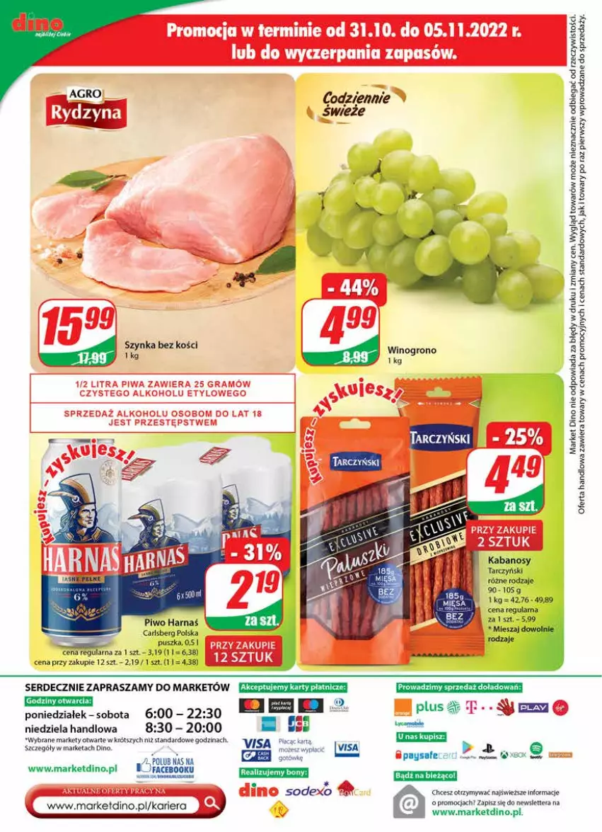 Gazetka promocyjna Dino - Gazetka - ważna 02.11 do 08.11.2022 - strona 24 - produkty: Carlsberg, Fa, Harnaś, Kabanos, Piwo, Ser, Szynka, Tarczyński, Tera