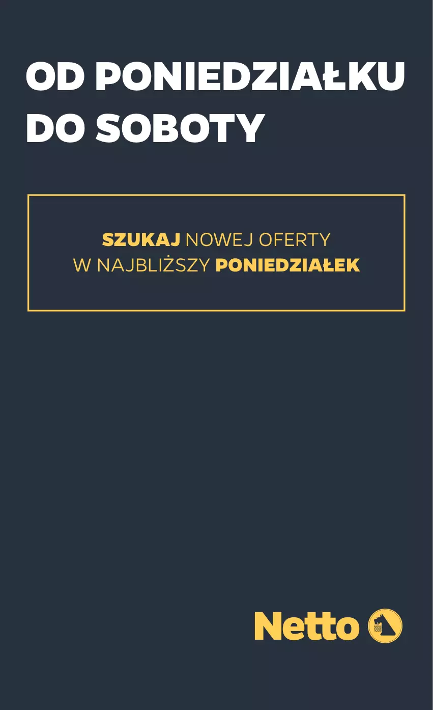 Gazetka promocyjna Netto - Od Czwartku Przemysłowa - ważna 07.08 do 13.08.2025 - strona 11 - produkty: JBL