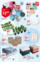 Gazetka promocyjna Auchan - przeNISKIE CENY z markami Auchan Hipermarkety - Gazetka - ważna od 03.02 do 03.02.2022 - strona 20 - produkty: Koc, Kaktus, Ręcznik, Latarenka LED, Latarenka