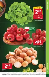 Gazetka promocyjna Stokrotka - Supermarket - Gazetka - ważna od 12.08 do 12.08.2025 - strona 31 - produkty: Cebula, Warzywa, Sałata masłowa, Sałat, Owoce, Masło, Pomidory, Mięso