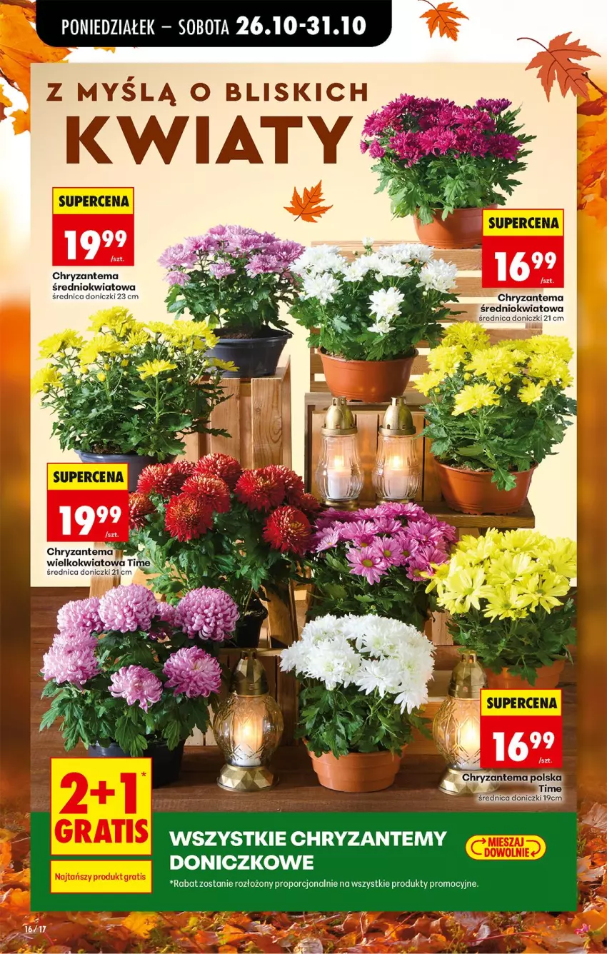 Gazetka promocyjna Biedronka - Od Poniedziałku - ważna 26.10 do 31.10.2026 - strona 20 - produkty: Chryzantema, Por
