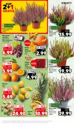 Gazetka promocyjna Kaufland - Mocny Start - Gazetka - ważna od 11.10 do 11.10.2023 - strona 5 - produkty: Ananas, Pomarańcze, Dior, Maliny, Winogrona, Wino