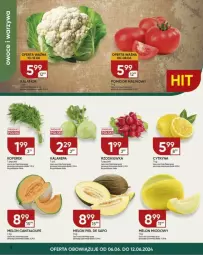 Gazetka promocyjna Chata Polska - Gazetka - ważna od 12.06 do 12.06.2024 - strona 16 - produkty: Por, Mafia, Rzodkiewka, Melon