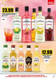 Gazetka promocyjna Topaz - Gazetka - Gazetka - ważna od 31.01 do 31.01.2024 - strona 5 - produkty: Soplica, Fa