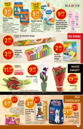 Gazetka promocyjna Delikatesy Centrum - Gazetka DC45 n. fresh - Gazetka - ważna od 17.11 do 17.11.2021 - strona 29 - produkty: Piec, Kurczak, Warzywa, Sos, Ryż, Gerber, Papier, Tulipan, Whiskas, Storczyk, Szampon, Bukiet, Dzieci, Papier do pieczenia, Gala, Butcher's