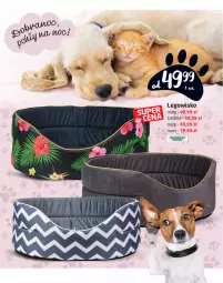Gazetka promocyjna Intermarche - dla zwierzaków - Gazetka - ważna od 04.10 do 04.10.2021 - strona 14 - produkty: LEGO, Legowisko