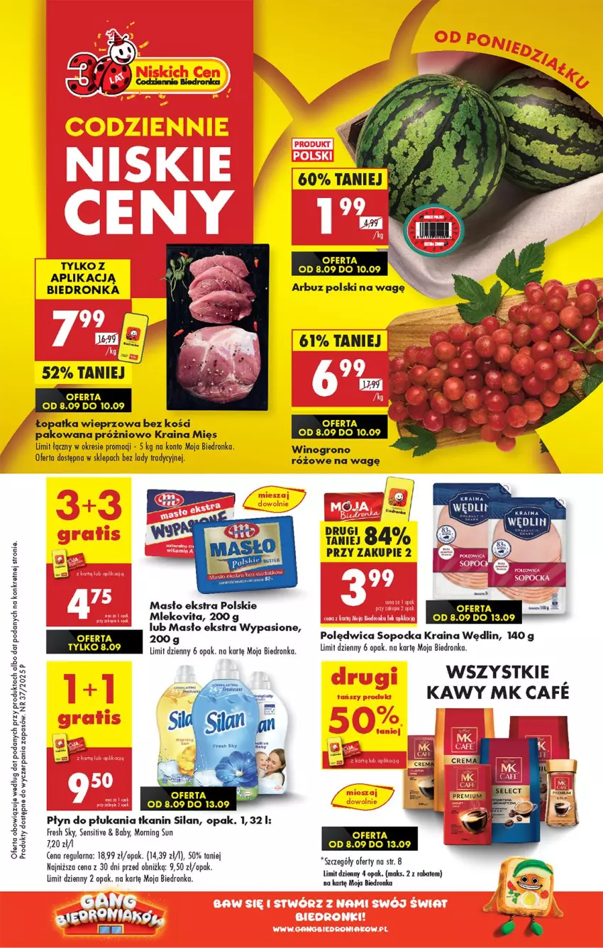 Gazetka promocyjna Biedronka - Od Poniedziałku - ważna 08.09 do 13.09.2025 - strona 1 - produkty: Arbuz, Fa, Masło, Mleko, Mlekovita, Płyn do płukania, Polędwica, Silan, Wino