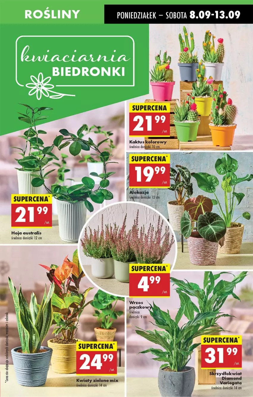 Gazetka promocyjna Biedronka - Od Poniedziałku - ważna 08.09 do 13.09.2025 - strona 19