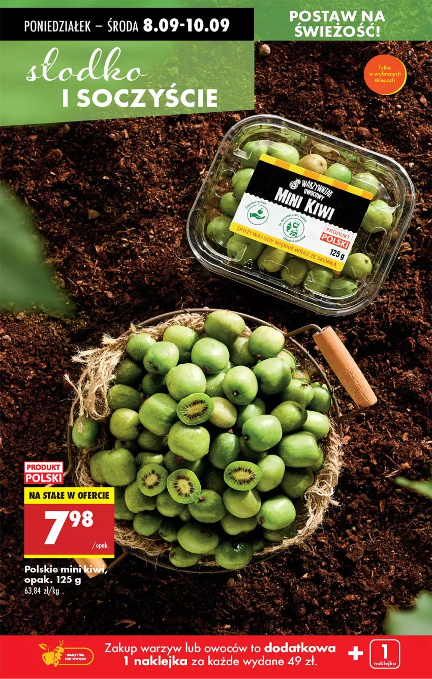 Gazetka promocyjna Biedronka - Od Poniedziałku - ważna 08.09 do 13.09.2025 - strona 20 - produkty: Fa, Klej