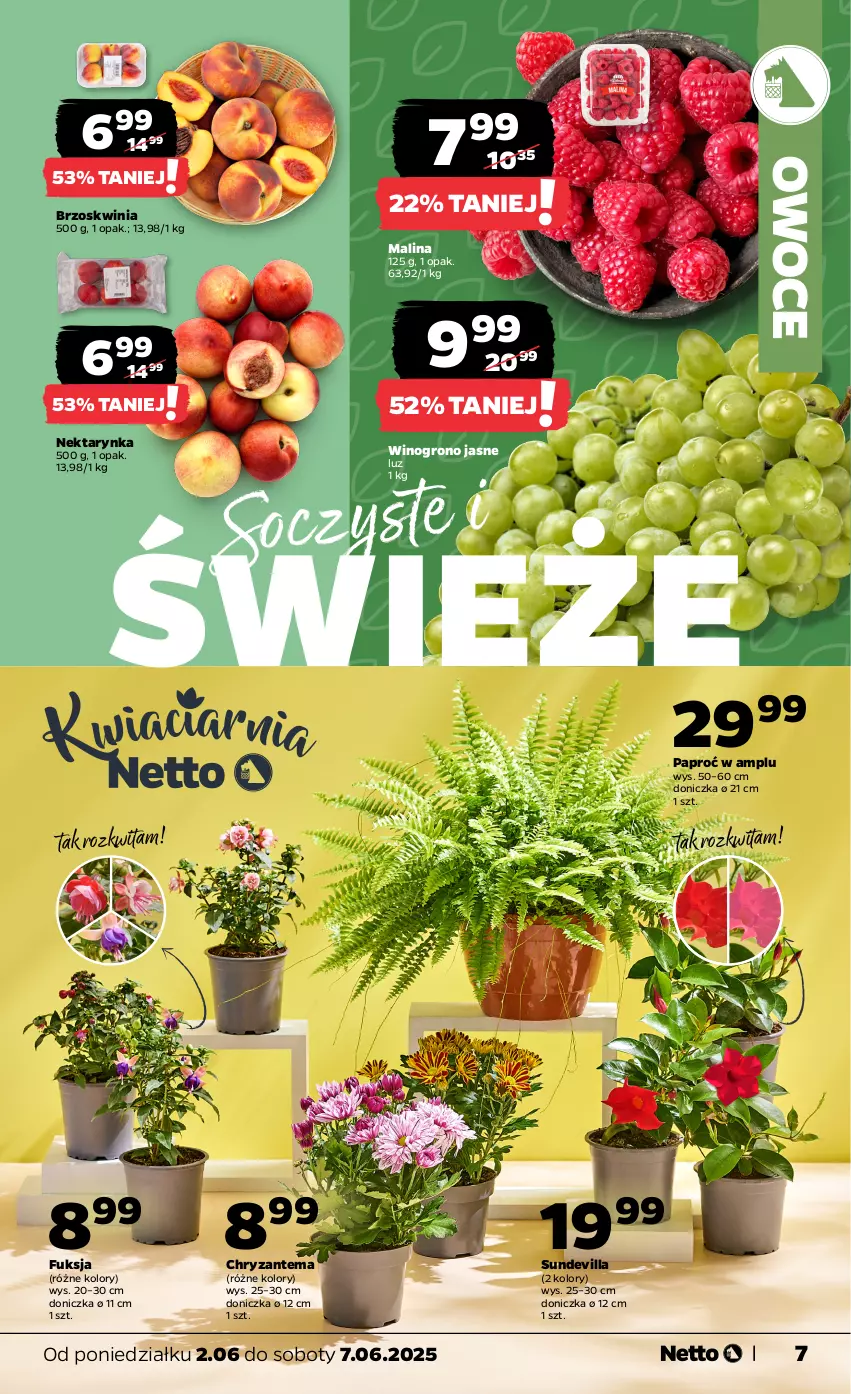 Gazetka promocyjna Netto - Od Poniedziałku - ważna 02.06 do 07.06.2025 - strona 7 - produkty: Chryzantema, Nektar, Nektarynka, Owoce, Wino