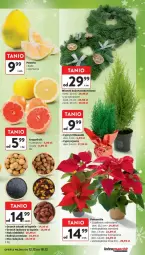 Gazetka promocyjna Intermarche - Gazetka - ważna od 18.12 do 18.12.2024 - strona 11 - produkty: Gra, Pomelo
