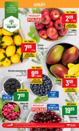 Gazetka promocyjna PoloMarket - Gazetka pomocyjna - Gazetka - ważna od 04.07 do 04.07.2023 - strona 10 - produkty: Cytryny, Jeżyny, Maliny, Mango, Ogród, Jabłka