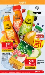 Gazetka promocyjna PoloMarket - Gazetka pomocyjna - Gazetka - ważna od 04.07 do 04.07.2023 - strona 47 - produkty: Sok, Sok jabłkowy, Owoce, Ogród