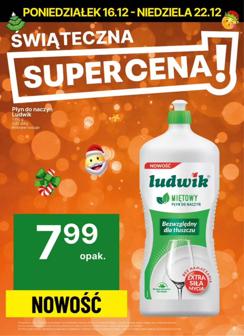 Gazetka promocyjna Delikatesy Centrum - NOWA GAZETKA Delikatesy Centrum od 16 grudnia! 16-22.12.2024 - ważna 16.12 do 22.12.2024 - strona 9 - produkty: Koc, Ludwik