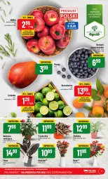 Gazetka promocyjna PoloMarket - Gazetka pomocyjna - Gazetka - ważna od 13.06 do 13.06.2023 - strona 11 - produkty: Limonka, Bukiet, Ogród, Jabłka