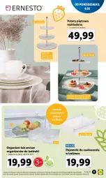 Gazetka promocyjna Lidl - GAZETKA - Gazetka - ważna od 11.03 do 11.03.2023 - strona 13 - produkty: Por, Organizer, Pojemnik, Tera, Talerz