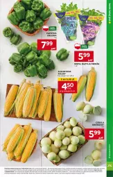 Gazetka promocyjna Stokrotka - Supermarket - Gazetka - ważna od 03.07 do 03.07.2024 - strona 7 - produkty: Cebula, Papryka, Bazyl, Bazylia, Mięta, Kukurydza, HP