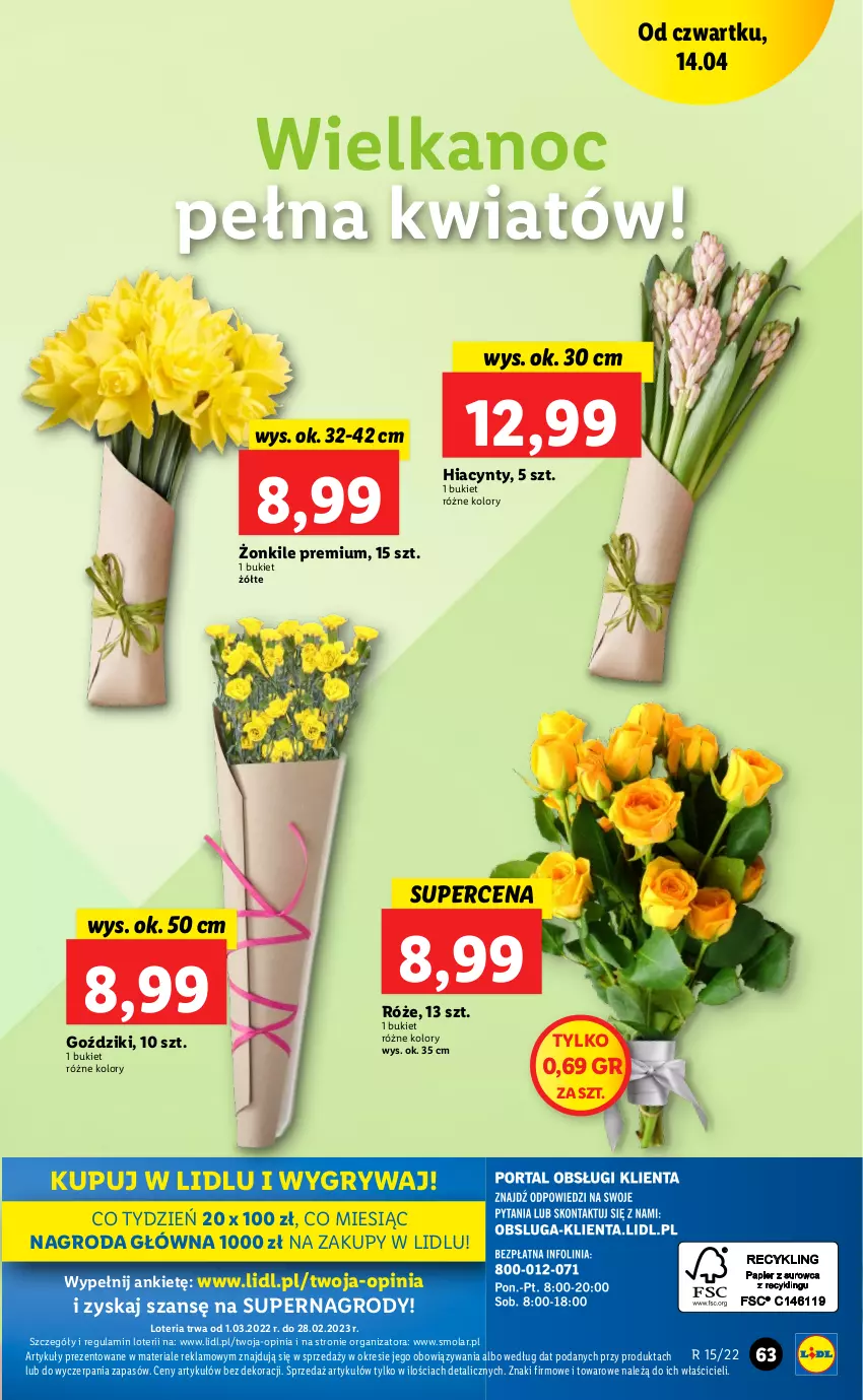 Gazetka promocyjna Lidl - GAZETKA - ważna 14.04 do 16.04.2022 - strona 63 - produkty: Bukiet, Gry, Hiacynt, Mola