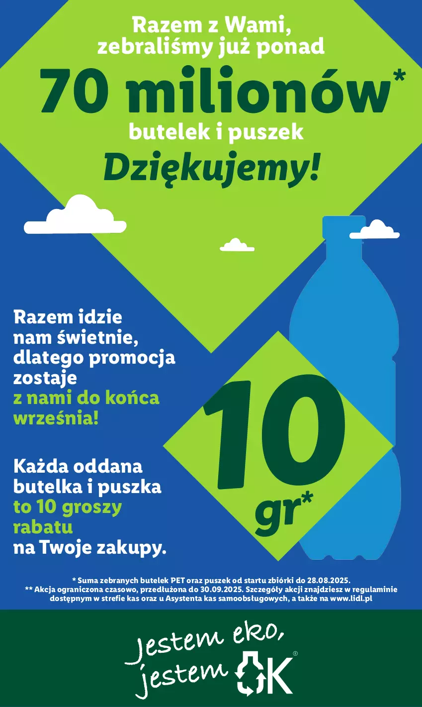 Gazetka promocyjna Lidl - GAZETKA - ważna 04.09 do 06.09.2025 - strona 43 - produkty: Gra, Lion