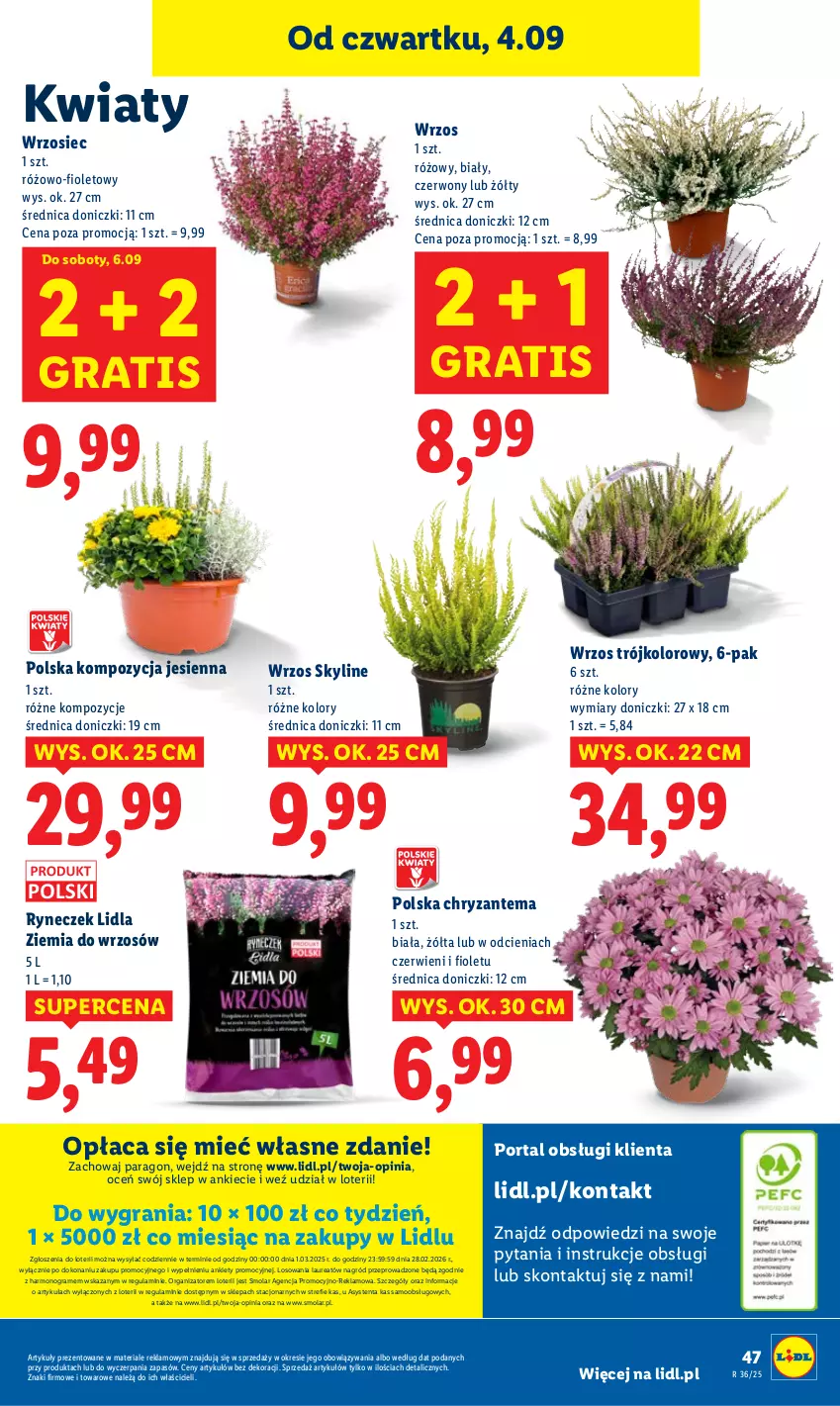 Gazetka promocyjna Lidl - GAZETKA - ważna 04.09 do 06.09.2025 - strona 60 - produkty: Chryzantema, Gra, Laur, Mola, Por, Portal