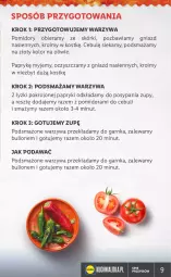 Gazetka promocyjna Lidl - KATALOG ANDALUZJA - Gazetka - ważna od 25.06 do 25.06.2022 - strona 9 - produkty: Warzywa, Bulion, Lion, Pomidory