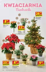 Gazetka promocyjna Biedronka - W tym tygodniu PM - Gazetka - ważna od 15.12 do 15.12.2021 - strona 10 - produkty: Sok, Poinsecja, Róża, Wazon, Fa
