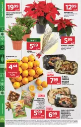Gazetka promocyjna Stokrotka - Supermarket - Gazetka - ważna od 10.12 do 10.12.2025 - strona 8 - produkty: Warzywa, Sok, Poinsecja, Pomarańcze, Owoce, Mięso, Jabłka