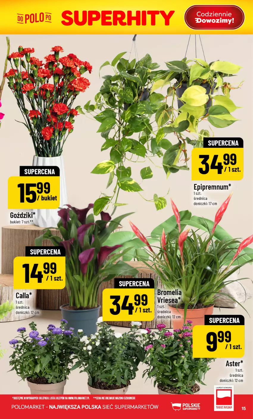 Gazetka promocyjna PoloMarket - Gazetka POLOmarket - ważna 29.07 do 04.08.2026 - strona 15 - produkty: Bromelia, Bukiet, Laur