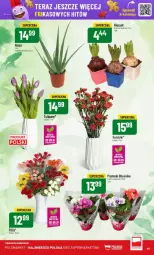 Gazetka promocyjna PoloMarket - Gazetka - ważna od 14.01 do 14.01.2025 - strona 44 - produkty: Hiacynt, Prymula, Bukiet