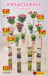 Gazetka promocyjna Biedronka - W tym tygodniu - Gazetka - ważna od 02.06 do 02.06.2021 - strona 13 - produkty: Sok, Noż, Tulipan, Róża, Wino