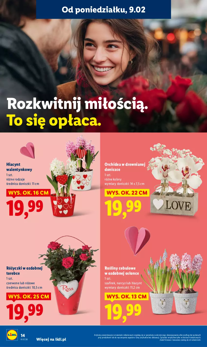 Gazetka promocyjna Lidl - GAZETKA - ważna 09.02 do 11.02.2026 - strona 14 - produkty: Hiacynt, Narcyz