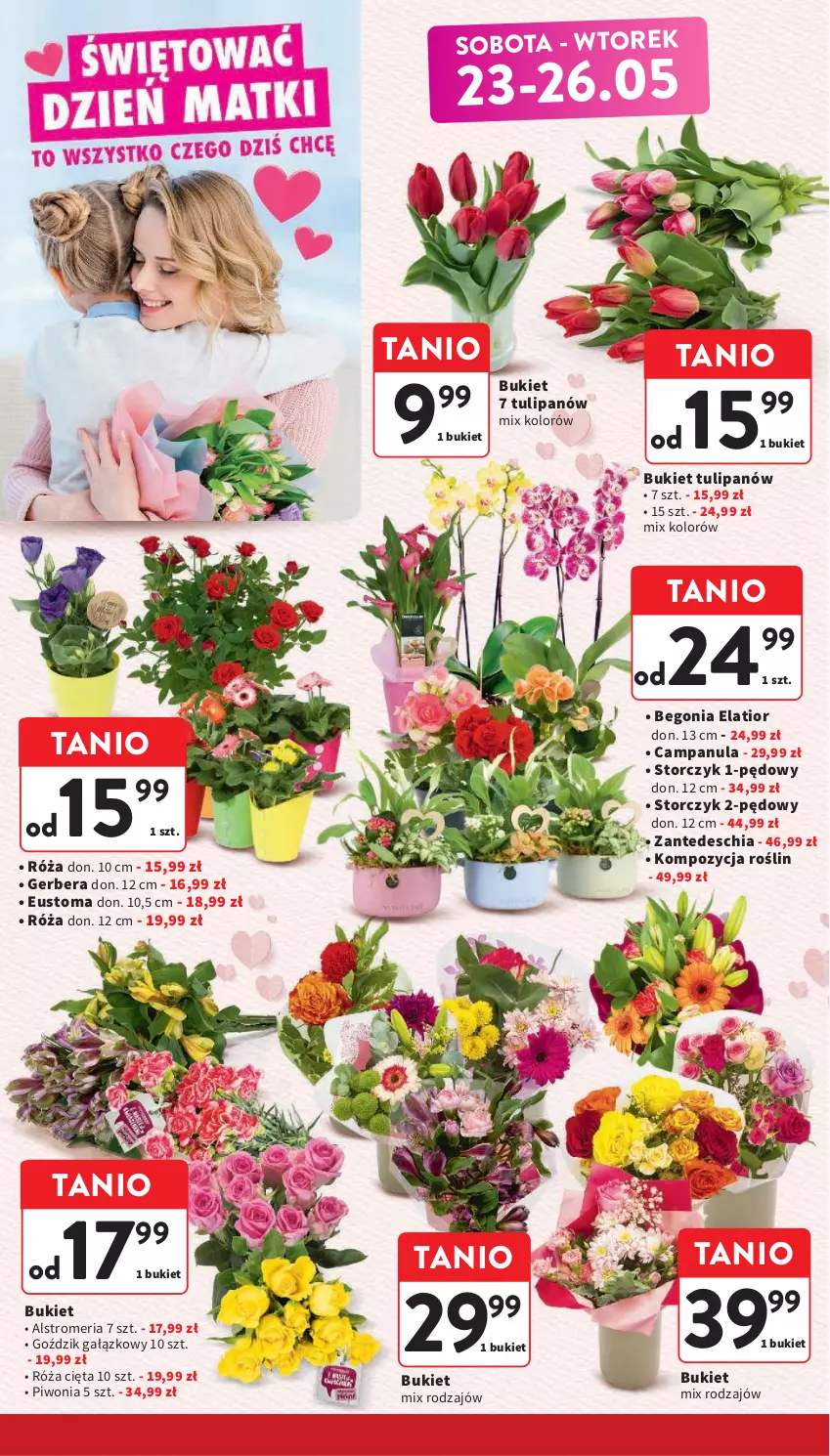 Gazetka promocyjna Intermarche - Gazetka promocyjna - ważna 21.05 do 27.05.2026 - strona 6 - produkty: Bukiet, Campanula, Chia, Gerber, Piwo, Róża, Storczyk, Tulipan