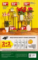 Gazetka promocyjna Biedronka - W tym tygodniu P - Gazetka - ważna od 12.11 do 12.11.2022 - strona 48 - produkty: Sos, Sok, Por, Gra, Cyklamen, Telefon, Papier, Róża,