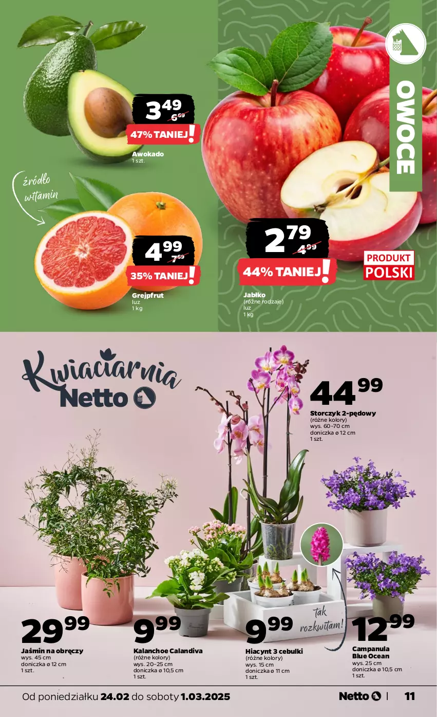 Gazetka promocyjna Netto - Od Poniedziałku - ważna 24.02 do 01.03.2025 - strona 11 - produkty: Campanula, Grejpfrut, Hiacynt, Kalanchoe, Owoce, Storczyk