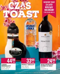 Gazetka promocyjna Biedronka - Czas na Toast - Gazetka - ważna od 29.05 do 29.05.2021 - strona 1 - produkty: Absolut, Sheridan's, Wódka, Wino, Likier, Fa