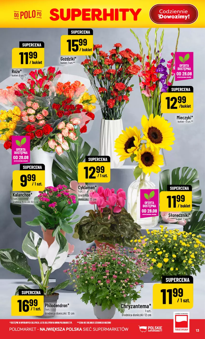 Gazetka promocyjna PoloMarket - Gazetka POLOmarket - ważna 26.08 do 01.09.2026 - strona 13 - produkty: Bukiet, Chryzantema, Laur, Miecz