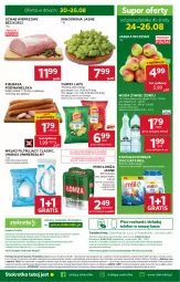 Gazetka promocyjna Stokrotka - Supermarket - Gazetka - ważna od 26.08 do 26.08.2026 - strona 47 - produkty: Piwa, Piwo, Warzywa, Gra, Telefon, Chipsy, O nas, Kiełbasa podwawelska, Wawel, Dres, Optima, Schab wieprzowy, Winogrona, Wkład filtrujący, Owoce, Woda, Wino, Wagi, Lay’s, Kiełbasa, Mięso, Jabłka