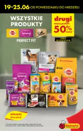 Gazetka promocyjna Biedronka - Od Czwartku - Gazetka - ważna od 28.06 do 28.06.2023 - strona 15 - produkty: Rama, Tran