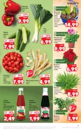 Gazetka promocyjna Kaufland - OFERTA TYGODNIA - Gazetka - ważna od 12.01 do 12.01.2022 - strona 19 - produkty: Sok, Por, Hiacynt, Pietruszka, Papryka czerwona, Papryka, Pomidory