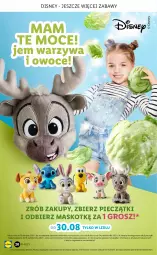 Gazetka promocyjna Lidl - GAZETKA - Gazetka - ważna od 17.10 do 17.10.2021 - strona 20 - produkty: Piec, Warzywa, Warzywa i owoce, Disney, Owoce