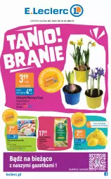 Gazetka promocyjna E Leclerc - Gazetka - ważna od 21.01 do 21.01.2023 - strona 1 - produkty: Hiacynt, Kawa mielona, Kawa, Narcyz