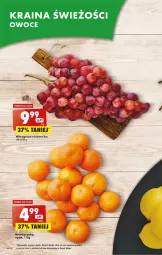 Gazetka promocyjna Biedronka - Gazetka - ważna od 01.03 do 01.03.2023 - strona 14 - produkty: Sok, Wino