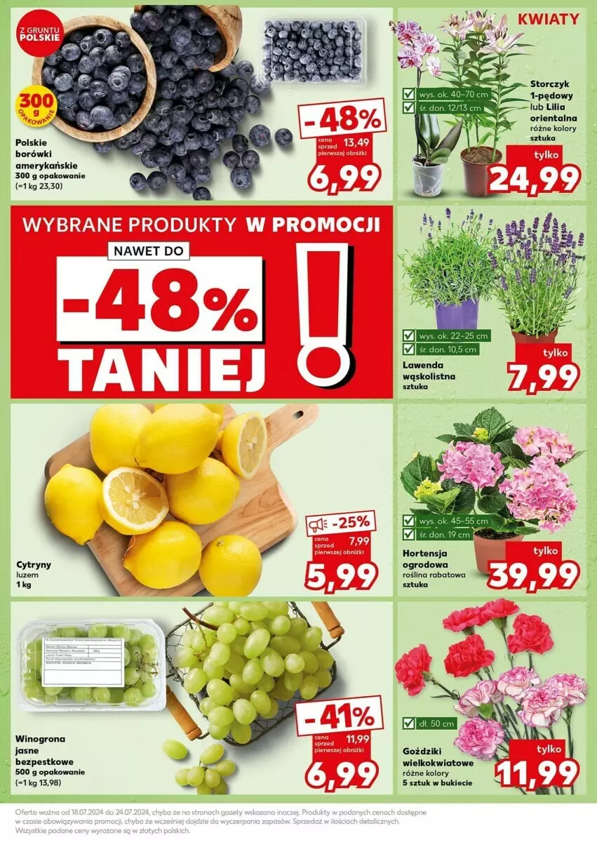 Gazetka promocyjna Kaufland - ważna 22.07 do 24.09.2024 - strona 30 - produkty: Cytryny