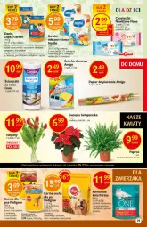 Gazetka promocyjna Delikatesy Centrum - Gazetka DC47 n. fresh - Gazetka - ważna od 01.12 do 01.12.2021 - strona 29 - produkty: Piec, Kurczak, Kalafior, Warzywa, Ryż, Pur, Gerber, Papier, Tulipan, Purina, Gwiazda, Królik, Spaghetti, Chusteczki, Bukiet, Papier do pieczenia, Pedigree