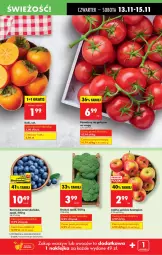 Gazetka promocyjna Biedronka - Od Czwartku - Gazetka - ważna od 19.11 do 19.11.2025 - strona 19 - produkty: Gra, Borówka, Borówka amerykańska, Szampion, Pomidory