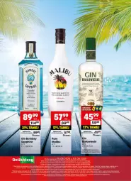 Gazetka promocyjna Delikatesy Centrum - Delibarek DC34-DC35 - Gazetka - ważna od 03.09 do 03.09.2025 - strona 25 - produkty: Rum, Gin, Malibu