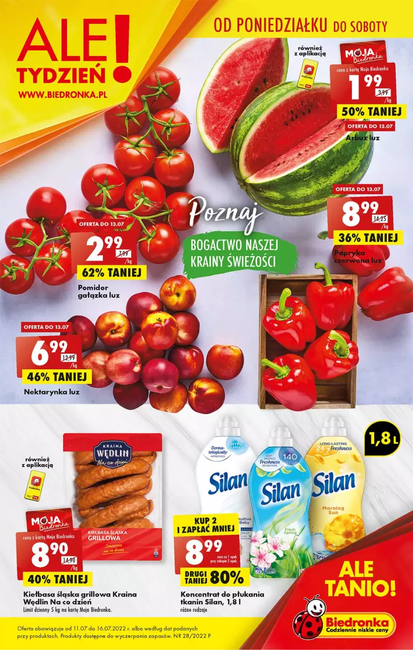 Gazetka promocyjna Biedronka - W tym tygodniu - ważna 11.07 do 16.07.2022 - strona 1 - produkty: Grill, Kiełbasa, Kiełbasa śląska, Silan