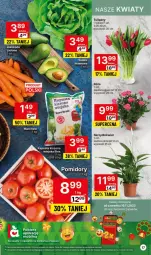 Gazetka promocyjna Delikatesy Centrum - Gazetka DC45 czw-sr - Gazetka - ważna od 22.11 do 22.11.2023 - strona 17 - produkty: Sok, Rum, Tulipan, Róża, Bukiet, Pomidory, Mobil