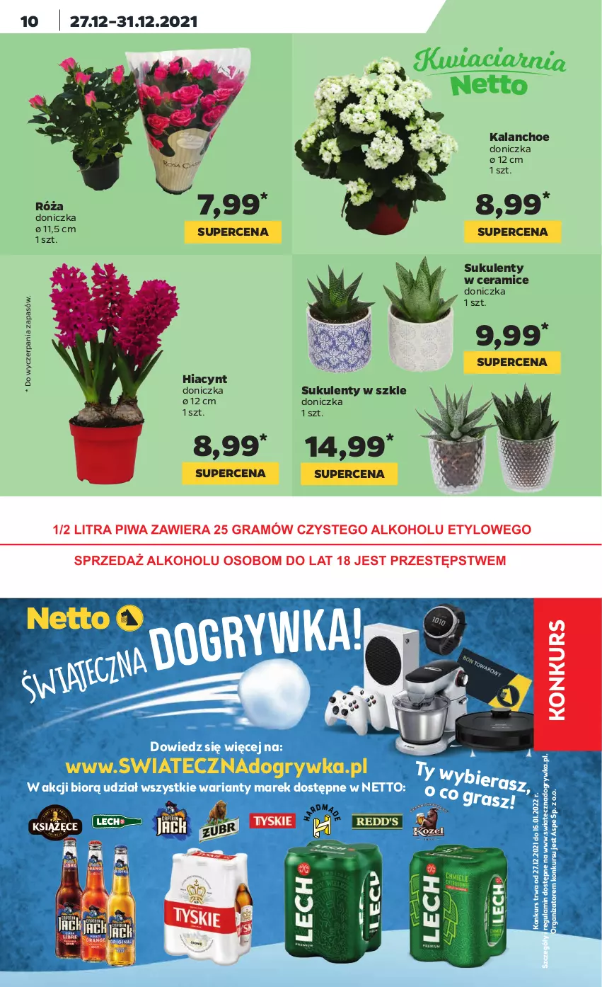 Gazetka promocyjna Netto - Gazetka spożywcza - ważna 27.12 do 31.12.2021 - strona 10 - produkty: Gra, Gry, Hiacynt, Kalanchoe, Róża, Sukulent