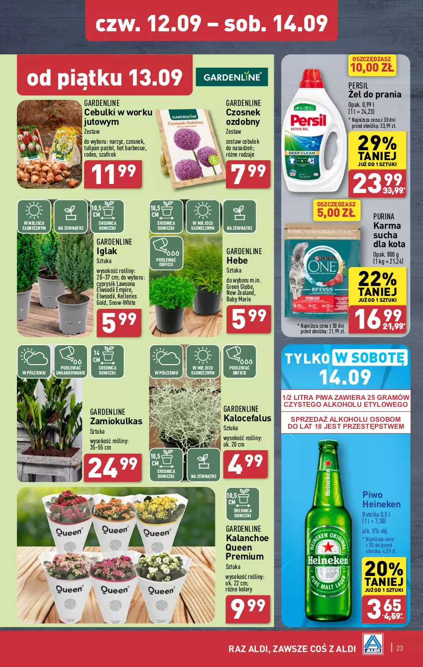 Gazetka promocyjna Aldi - Pełna oferta - ważna 09.09 do 14.09.2024 - strona 23 - produkty: Cyprysik, Czosnek, Fa, Gra, Heineken, Kalanchoe, Narcyz, O nas, Persil, Piwa, Piwo, Pur, Purina, Sok, Tulipan